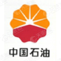 中国石油天然气股份有限公司